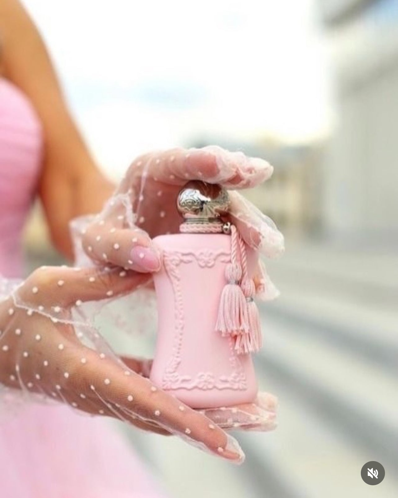 Signature Scents: Fragrance Collection